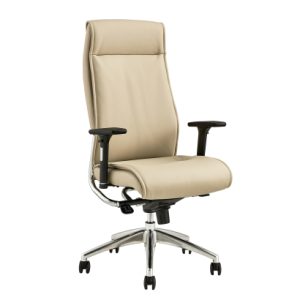 Alto High Back with Adj Arm Sand - Image 1
