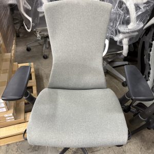 Embody Task Chair